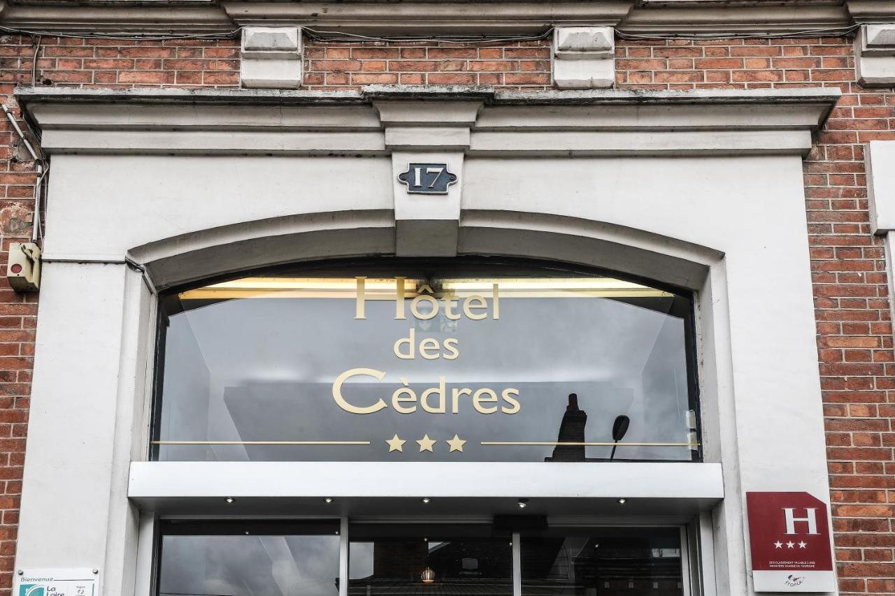 Hotel Des Cedres Orléans Eksteriør bilde